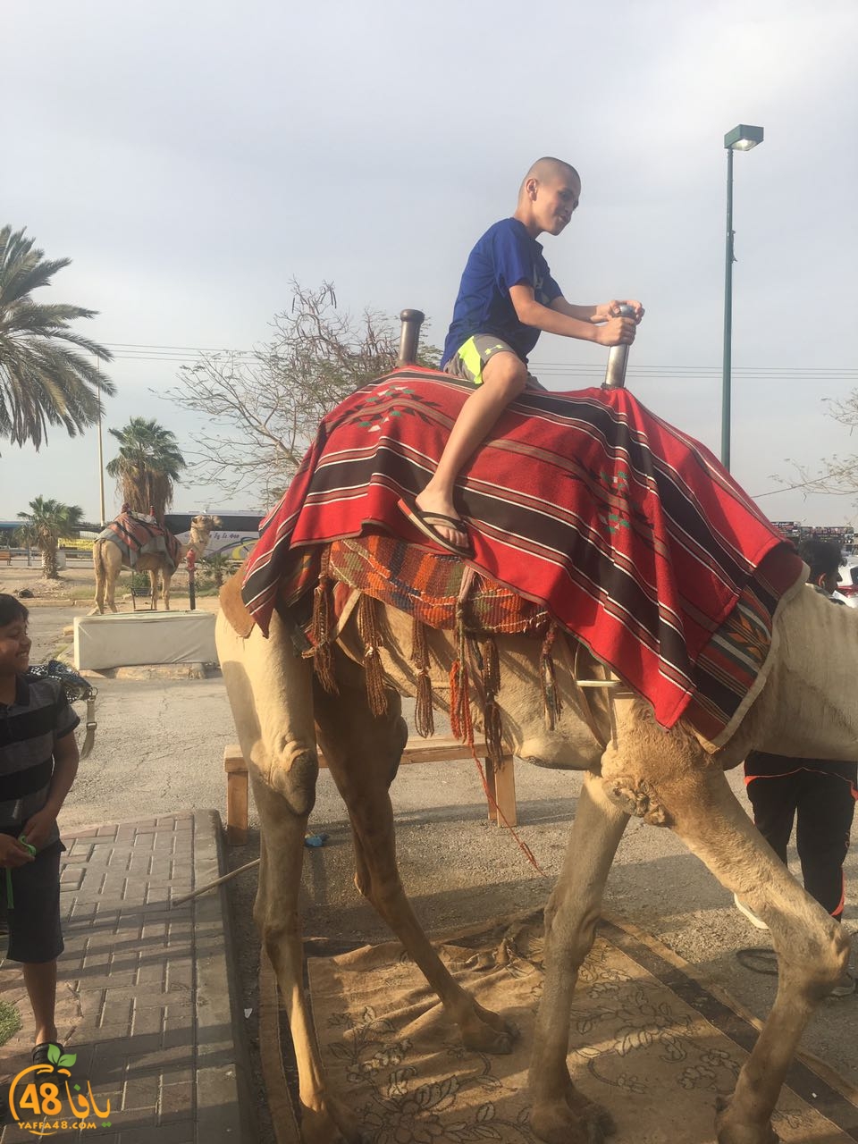 re7la ba7r maiyet (8).jpg